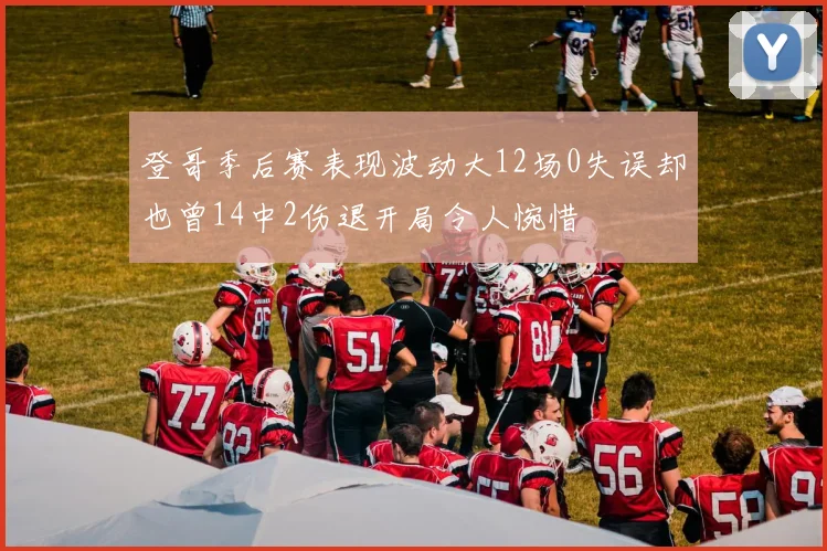 登哥季后赛表现波动大12场0失误却也曾14中2伤退开局令人惋惜